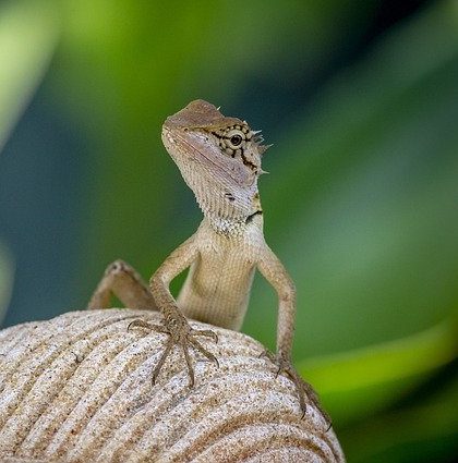 投稿についてもっと詳しく ifの中の動詞の形