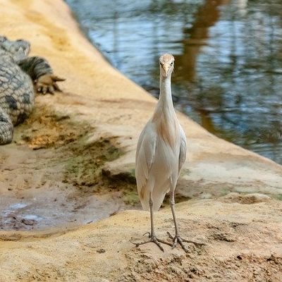 投稿についてもっと詳しく thatに連動することば
