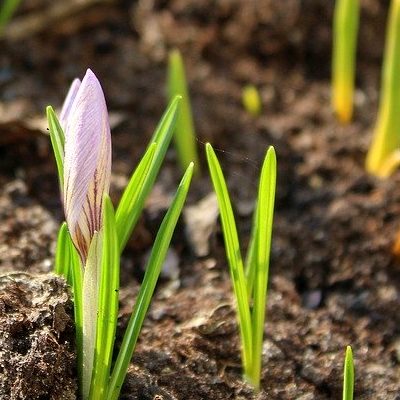 投稿についてもっと詳しく 後ろに不定詞が続く動詞