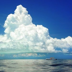 投稿についてもっと詳しく 同じ二つを並べる